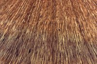 Natural Silk Tri Color Altar Cloth, Tarot Cloth, Altar Decor, Double Sided Altar Cloth, Wall Hanging, Dice Mat, Centerpiece